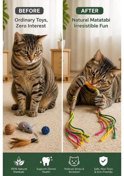 Matatabi Kedi Oyuncağı, Doğal Çiğneme Ve Oyun Oyuncağı, Pamuk İpli Matatabi Çubuklu Kedi Oyuncağı, Renkli
