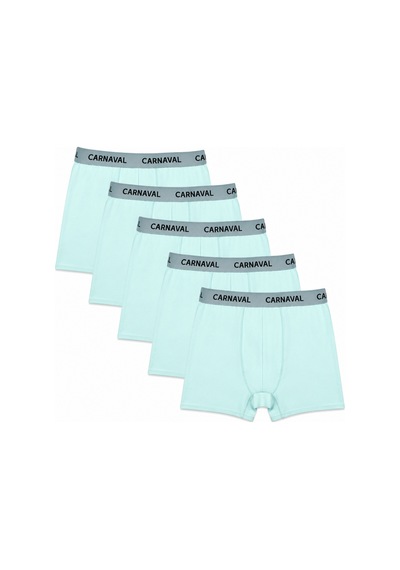 Carnaval Socks Erkek Boxer 5'li Set Carnaval Breeze Mint Çoklu