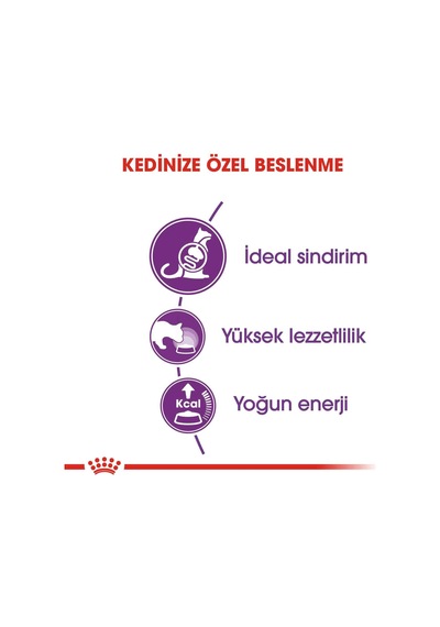 Royal Canin Sensible 33 Hassas Sindirimi Olan Kediler İçin Mama 400 Gr
