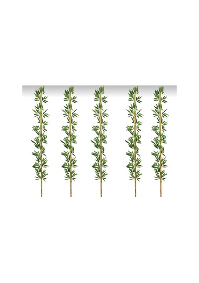 Rüzgar Yapay Çiçekçilik 190 Cm 5 Adet Bambu Yeşil