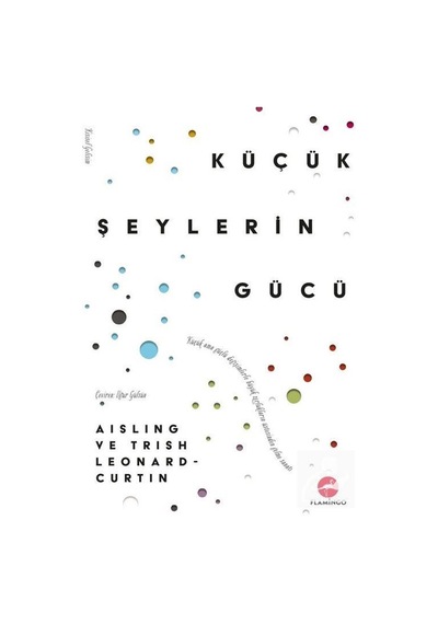 Küçük Şeylerin Gücü - Uğur Gülsün