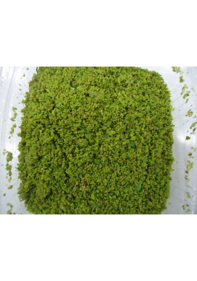 Antep Fıstığı Boz İç Çekilmiş 250 Gr Diğer