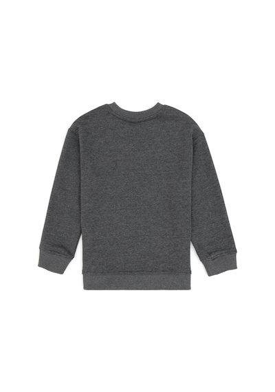 U.S. Polo Assn. Erkek Çocuk Antrasit Bisiklet Yaka Sweatshirt 50313843-VR081