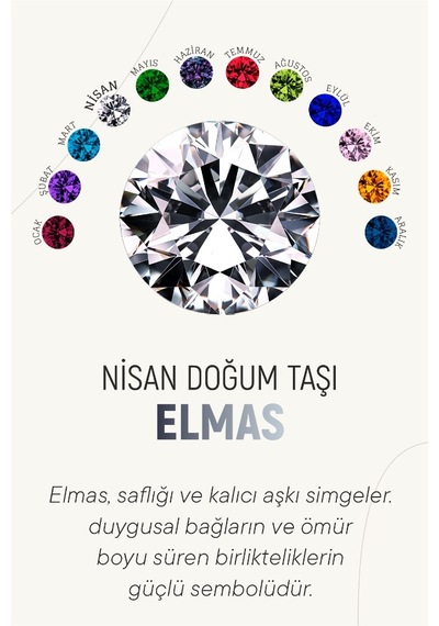 Nisan Zirkon Doğum Taşı Rose Tektaş Çivili Gümüş Küpe