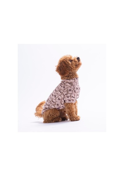 Bearline Ayı Desenli Kedi Köpek Sweati - Kedi Köpek Kıyafeti-kedi Köpek Sweati