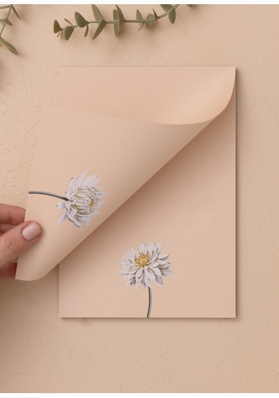 The Mia Art Line Mini Notluk Dahlia 15 X 21 Cm 40 Yaprak