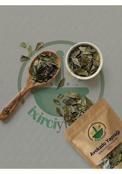 Avokado Yaprağı Avakado Yaprağı Kurutulmuş Bitki Çayı 100 G Doğal