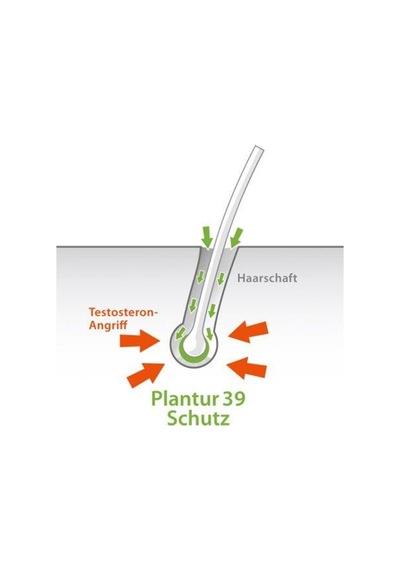 Plantur 39 Boyalı-Hasarlı Saçlar Onarıcı Kafein Şampuanı 250 ML
