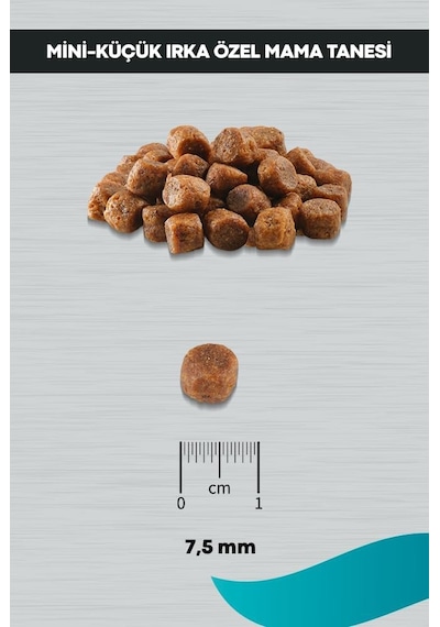 Signature Tavuklu Yavru Köpek Küçük Irk - 3 Kg