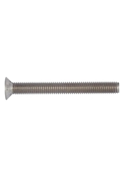 M4x8mm Dın 965 A2 Paslanmaz Inox Yhb Vida
