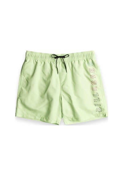 Billabong Ebyjv00122 Allday Heritagelb Volley Açık Yeşil Erkek Şort Açık Yeşil
