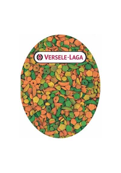 Versele Laga P19 Tropikal Bölünmüş 1000gr