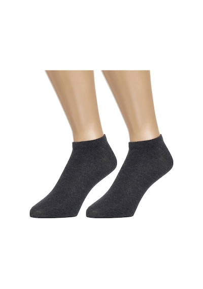 Ozzy Socks 5 Çift Dikişsiz Pamuklu Antrasit Unisex Patik Çorap Yazlık Dayanı Antrasit