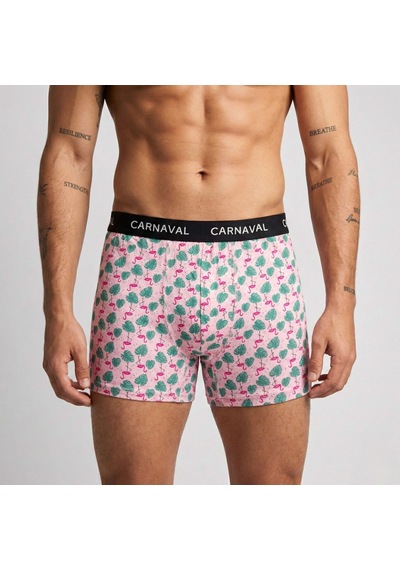 Carnaval Socks Carnaval Fun District Erkek Boxer 3 Lü Set Çoklu