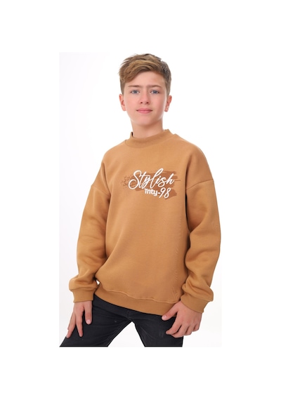 Toontoy Erkek Çocuk Baskılı Sweatshirt Kahverengi