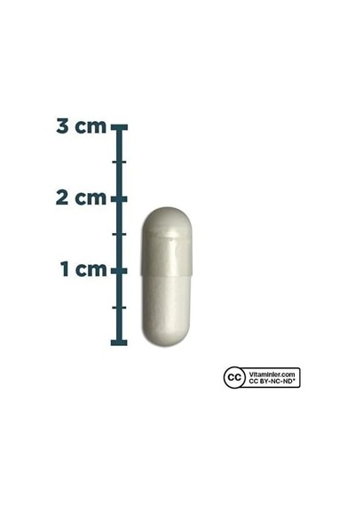 Zinc 15 Mg 100 Kapsül Aromasız Renkli