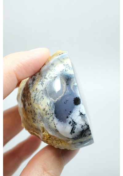 Nadir Dendritik Opal "kış Ormanı" Dilimi - Cilalanmış Olağanüstü Bal, Mavi Ve Beyaz
