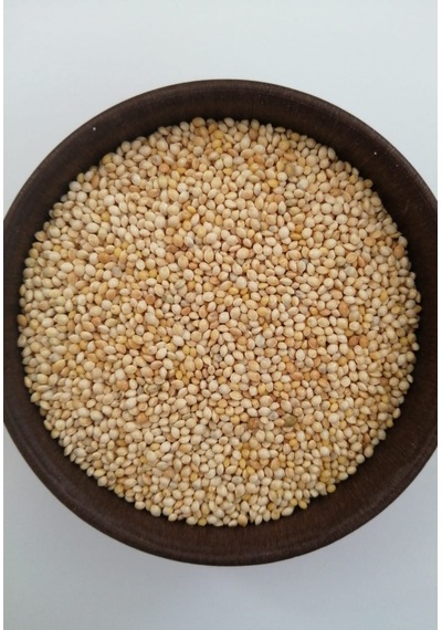 Muhabbet Kuşu Ak Darı - Hint Bülbülü Yemi 10 KG