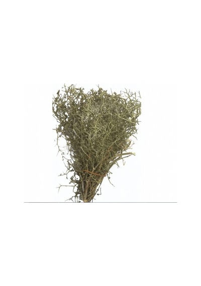 As Baharat Tarhana-dere Otu 1. Kalite 100gr