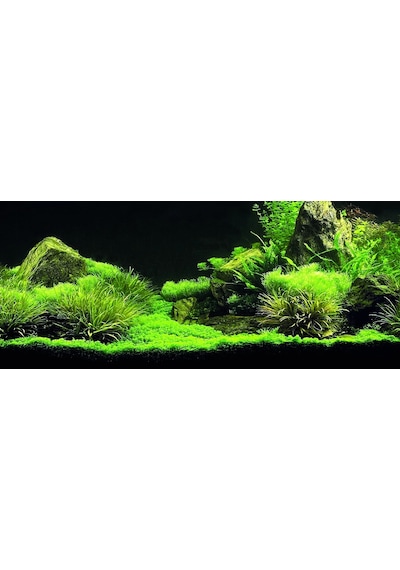 Kanki Pet Kp1556535 Akvaryum Arka Fon Yapıştırma 155 X 65 Cm