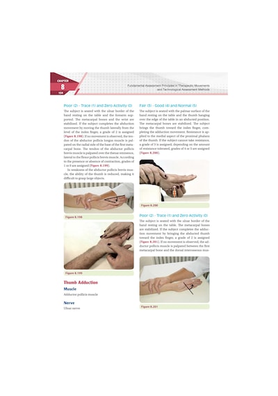 Fundamental Assessment Principles İn Therapeutic Movements And Technological Assessment Methods