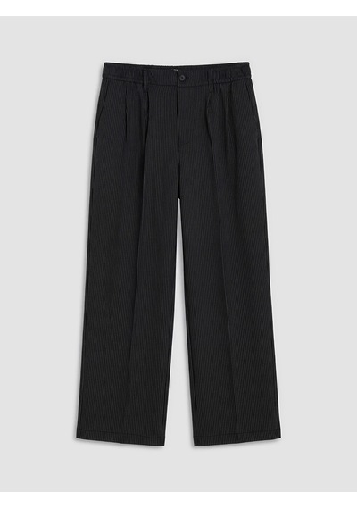 Lcw Vision Siyah Regular Fit Erkek Pileli Pantolon