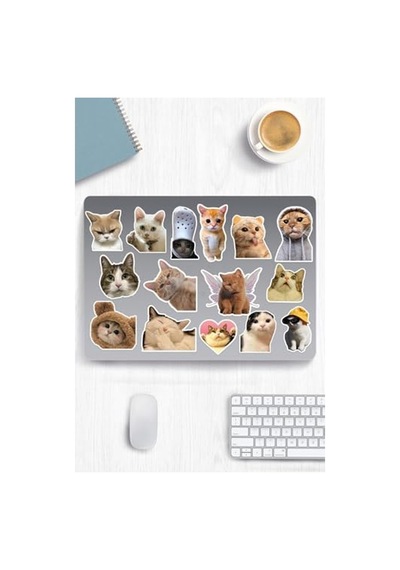 Kedi Temalı Sticker Seti - Laptop, Defter Ve Tablet İçin Uygun Abanoz