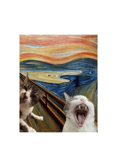 Çığlık Atan Kediler Sayılarla Boyama Seti - 40x50cm, Çerçeveli