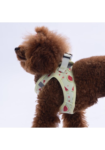 Summer Fresh Göğüs Tasması Ve Sevk Kayışı Tasma Seti Karpuzlu Kedi Köpek Göğüs Tasması Seti Yeşil