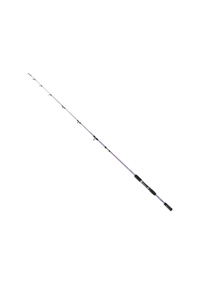 Fishpro Felix 150cm 50-150gr Purple Tekne Kamışı