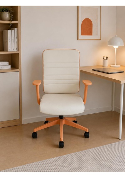 Spark Fine Ofis Sandalyesi Sırt Ergonomik Çalışma Koltuğu Diğer