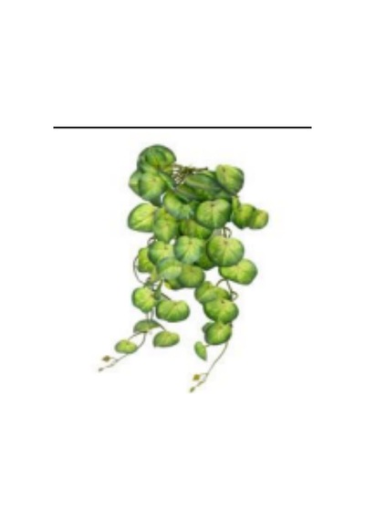 Yapay Bitki Salon Sarmaşığı Peperomia Yeşil 65 Cm. Çok Renkli