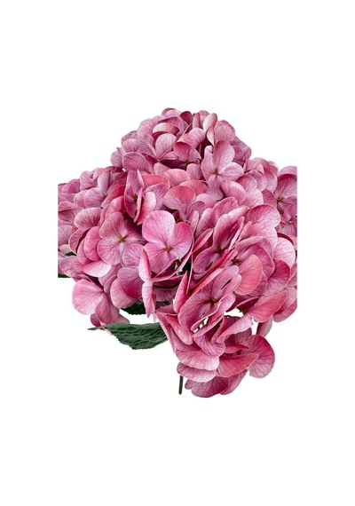 Yapay Çiçek Islak Ortanca Çiçeği Pembe Koyu 45cm 5dal Islak Gerçeksi Dokulu Pembe