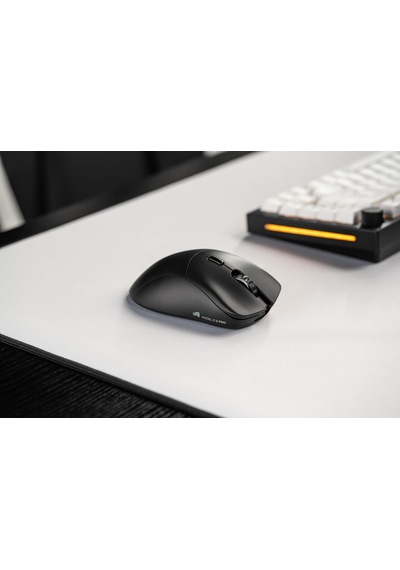 Glorious Gaming Model D 2 Pro 4k/8khz Kablosuz Oyun Faresi 2,4