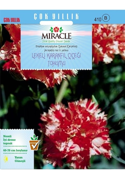Miracle Avranchin Lekeli Karanfil Çiçeği Tohumu 190 Tohum