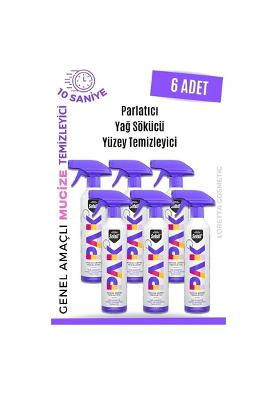 Pakyağ Sökücü Yüzey Temizleyici Parlatıcı Loretta 10'lu Set