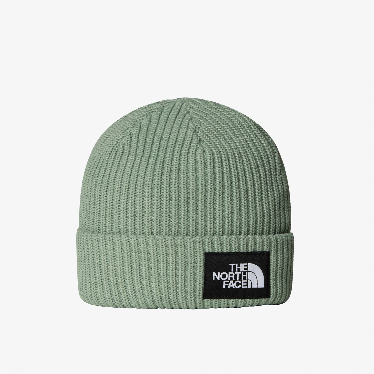 The North Face Salty Lined Çocuk Yeşil Bere Nf0a8cgsbq11 Yeşil