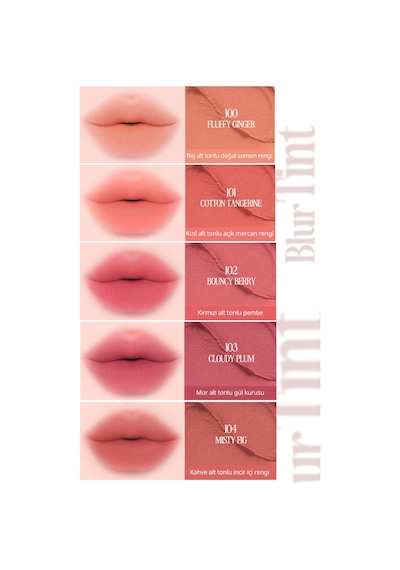 Clio Blur Efekti Veren Kadife Bitişli Dolgunlaştırıcı Tint Clıo Volumate Blur Tint 105 Velvetique Ribbon