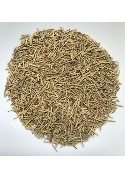 Biberiye Fidanı - Rosmarinus Officinalis 2 Yaşında Tüplü