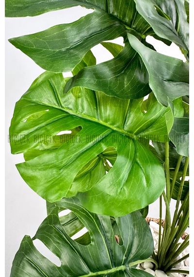 Yapay Monstera Deve Tabani 65 Cm Demi R Destekli Kulpsuz Hasir Saksıda Krem