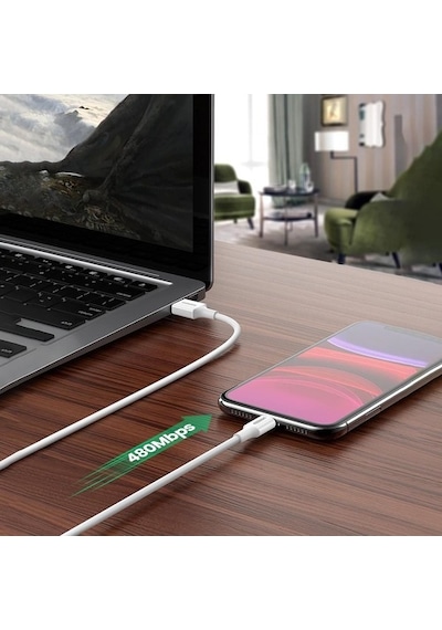 Ugreen Apple iPhone Uyumlu Lightning 2.4A Data Ve Şarj Kablosu Siyah 1 Metre (471856902)