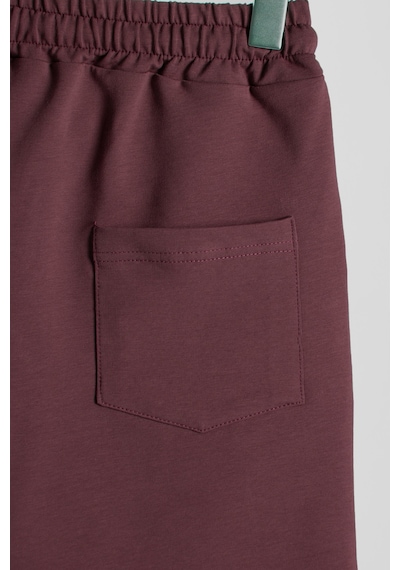 Terapi Men Erkek Bordo Basic Regular Fit Şort & Bermuda Bordo