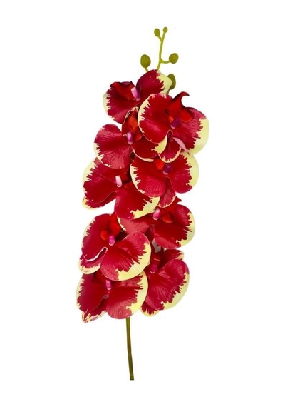Yapay Çiçek Kırmızı Krem Islak Orkide Gerçeksi Doku Uzun Dal 90 Cm Diğer