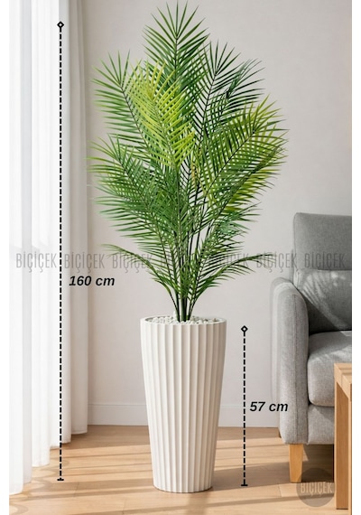 160 Cm Areka Ağaci 24 Yapraklı Beyaz Li Lyum Saksıda