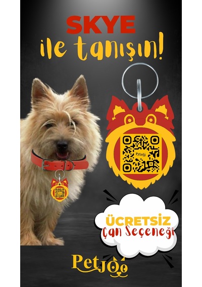 Petjoo 6.Skye Sarı-Kırmızı Qr'lı Köpek Künyesi