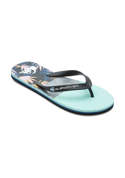 Quiksilver Molokaı Panel Mavi Erkek Terlik 000000000101605838 Mavi