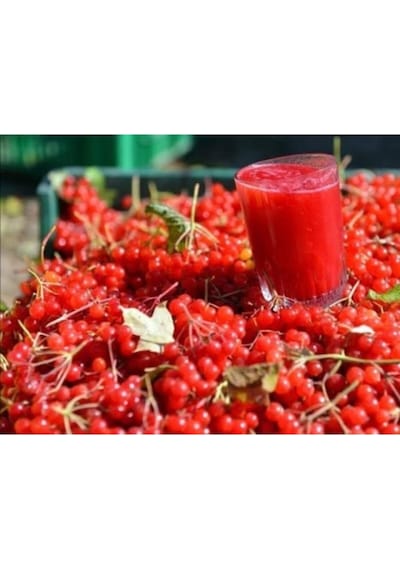 Gilaburu Nektar Suyu 1lt X 3 Adet