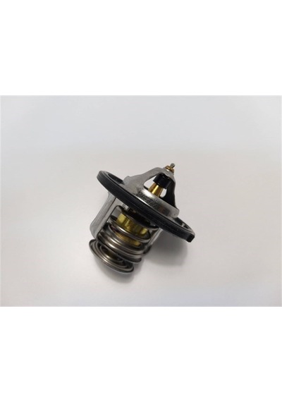 Opel Antara 2,0 Dizel Termostat Tunch