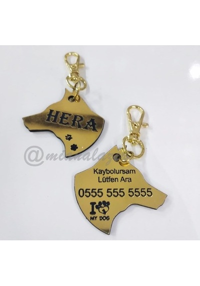 Evcil Hayvan Isimliği Köpek Kafası Köpek Künyesi Köpek Isimliği