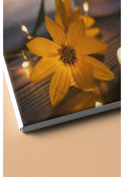 Webstyle Sayılarla Boyama Seti Kasnaklı Çiçek Ve Fener 50 X 65 Cm